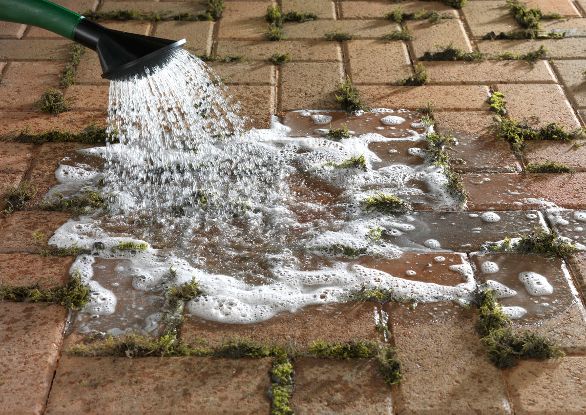 Patio Blaster Mould Removing Disinfectant