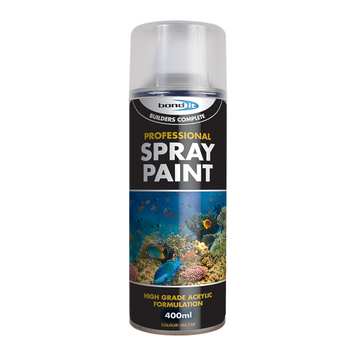 Professional Spray Paint