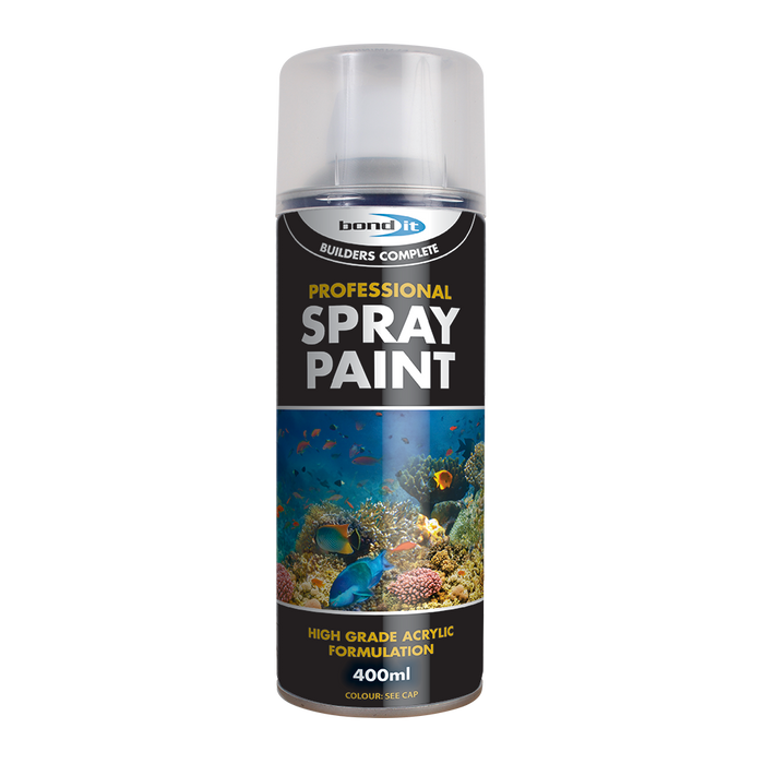 Professional Spray Paint