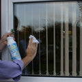 Glass Cleaner