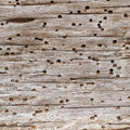 3 in 1 Wood Treatment